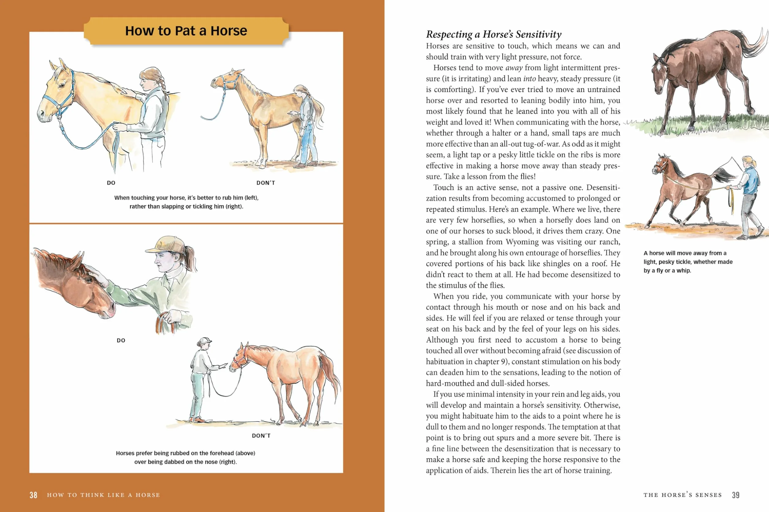 How to Think Like a Horse: The Essential Handbook for Understanding Why Horses Do What They Do