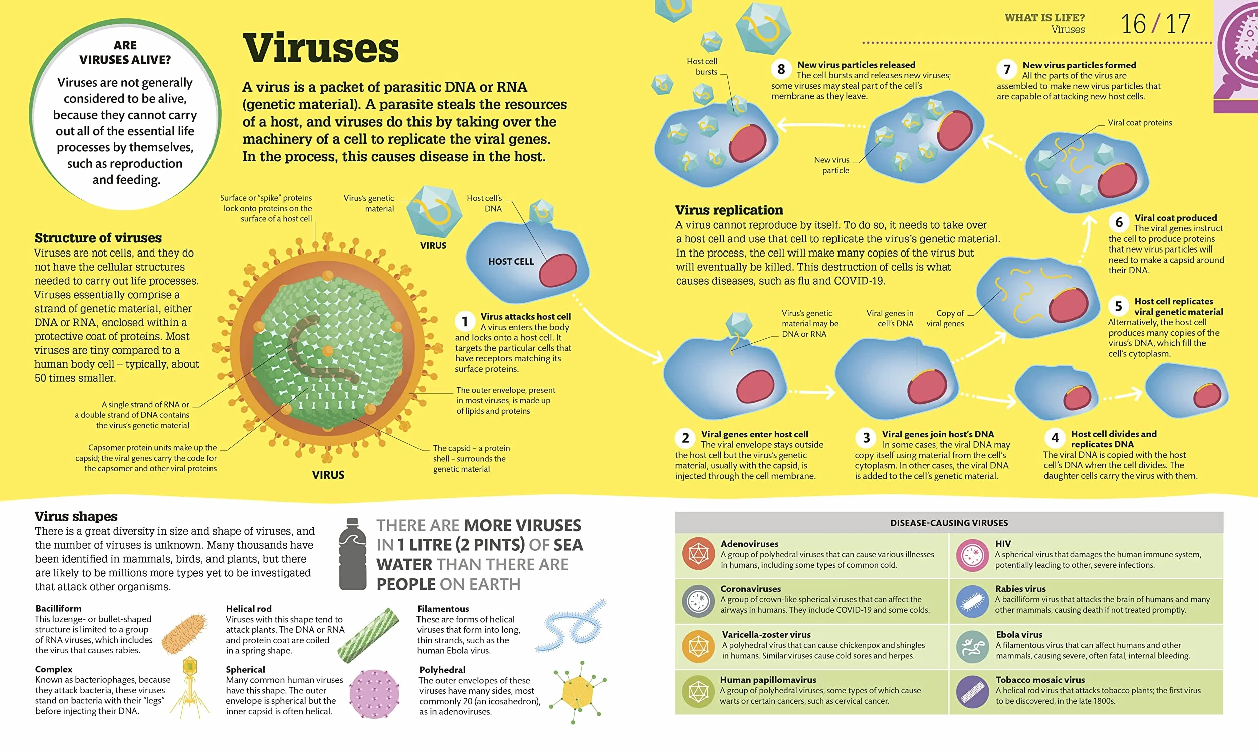 How Biology Works: The Facts Visually Explained