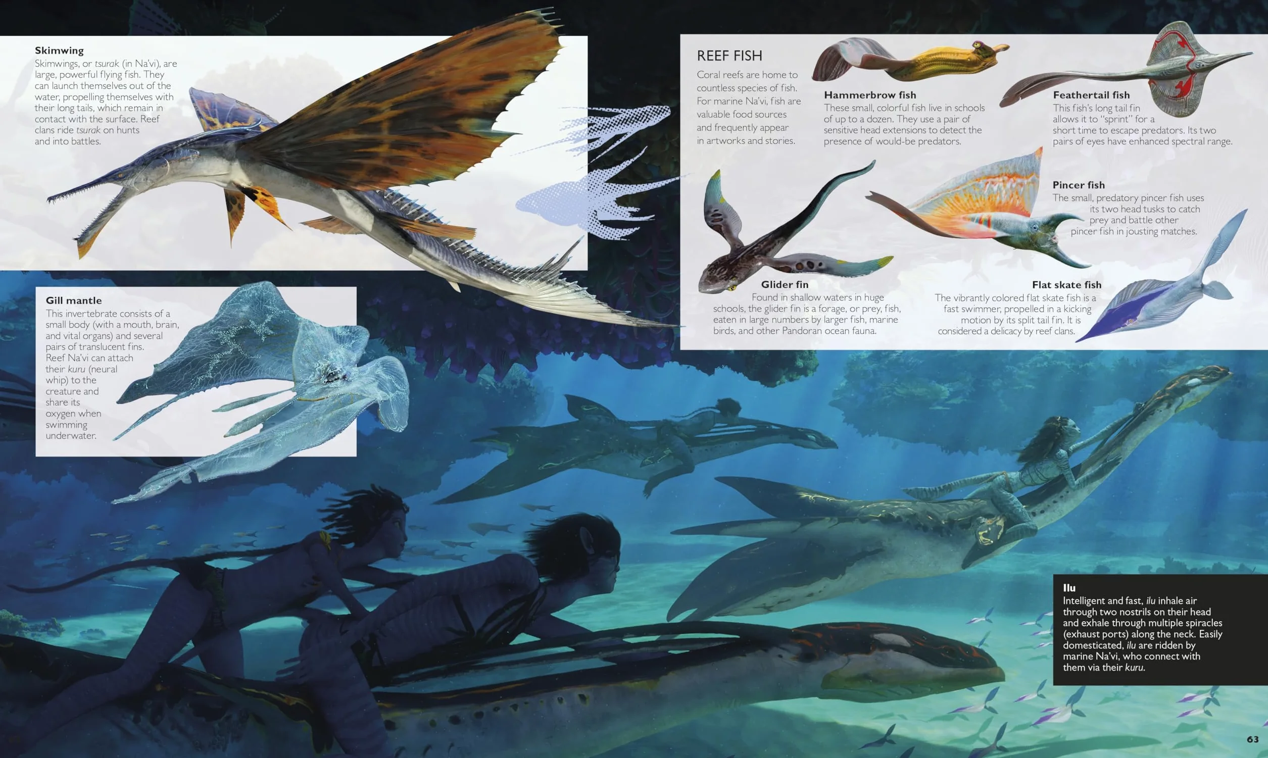 The World of Avatar Updated Edition