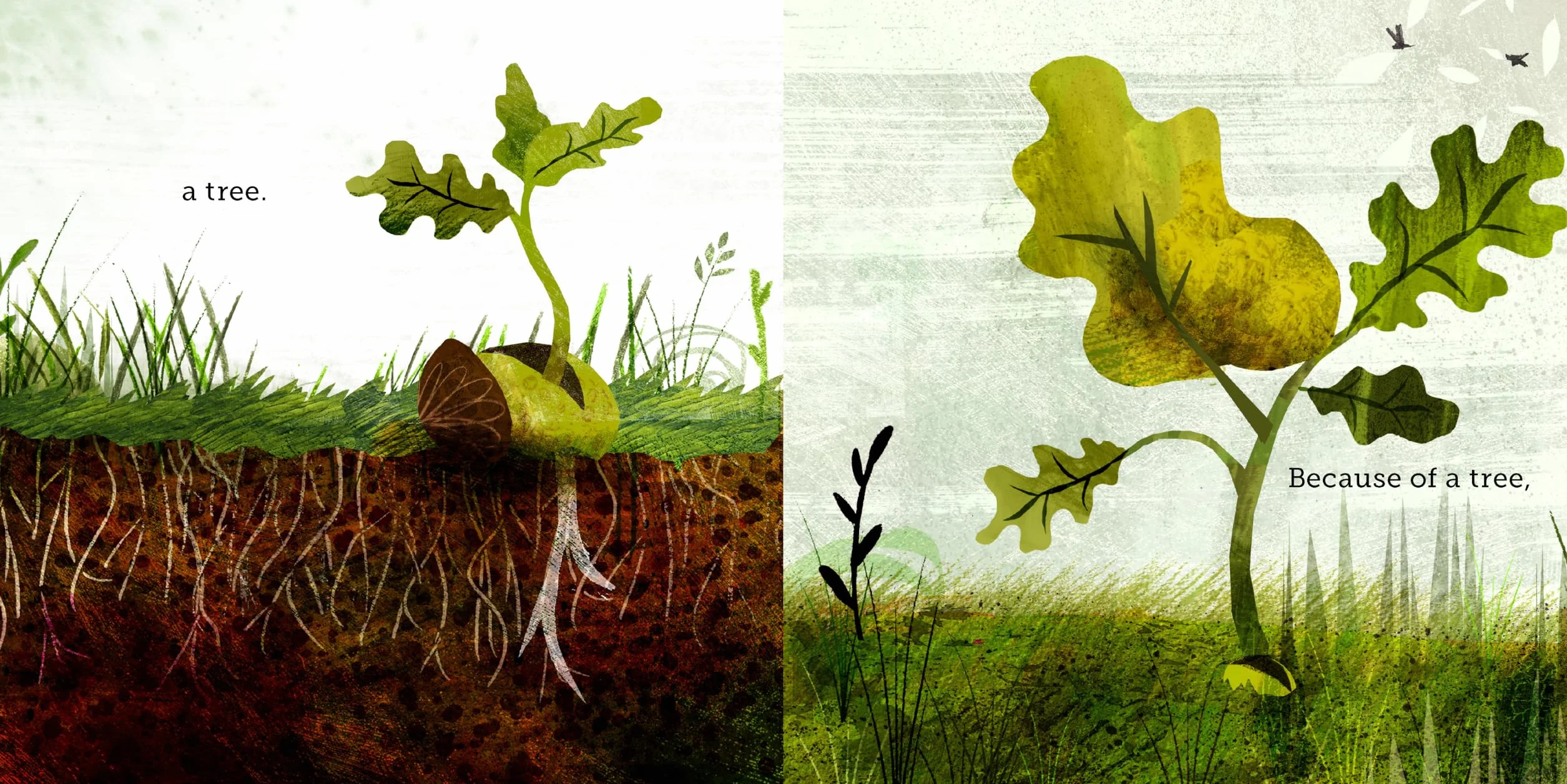 Because of an Acorn: (Nature Autumn Books for Children, Picture Books about Acorn Trees)