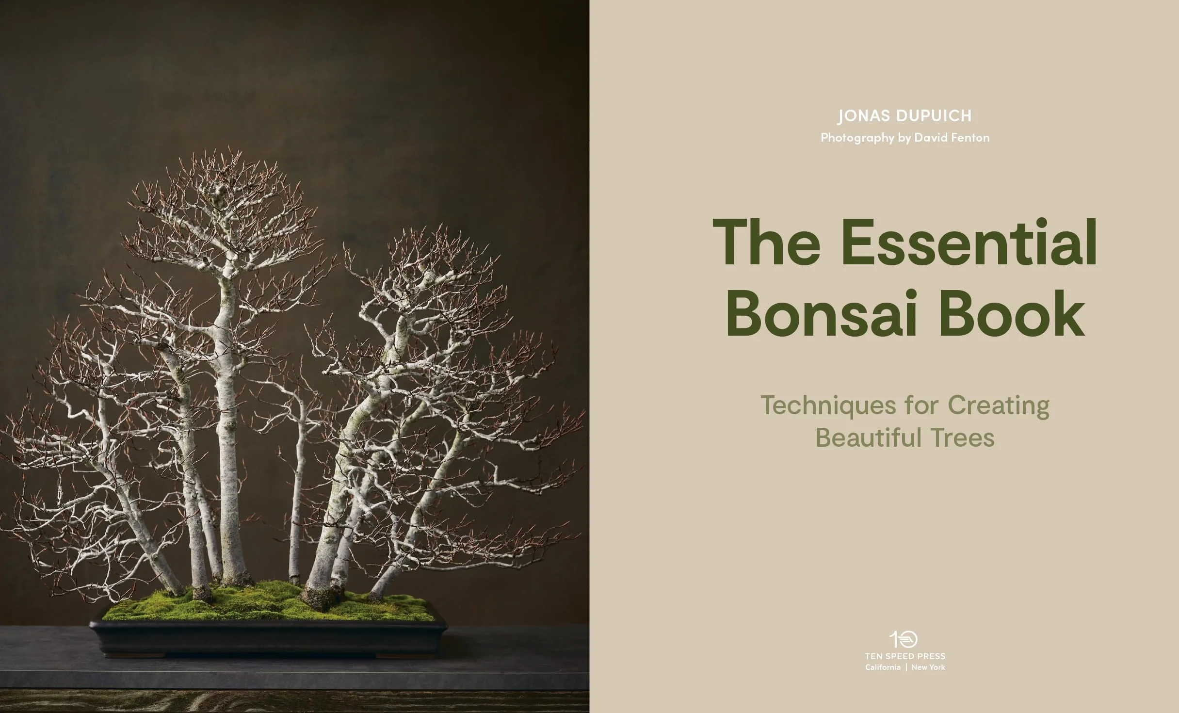 The Essential Bonsai Book: Techniques for Creating Beautiful Trees