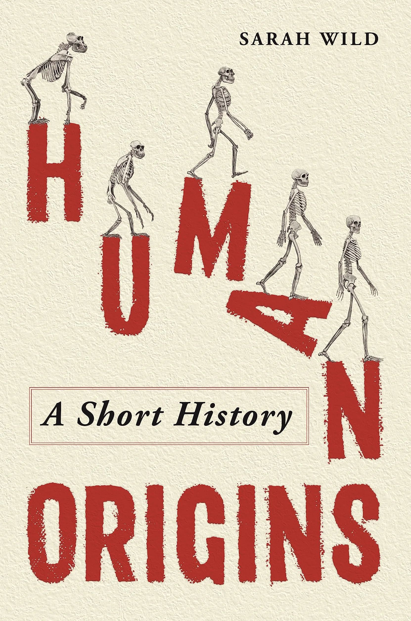 Human Origins: A Short History
