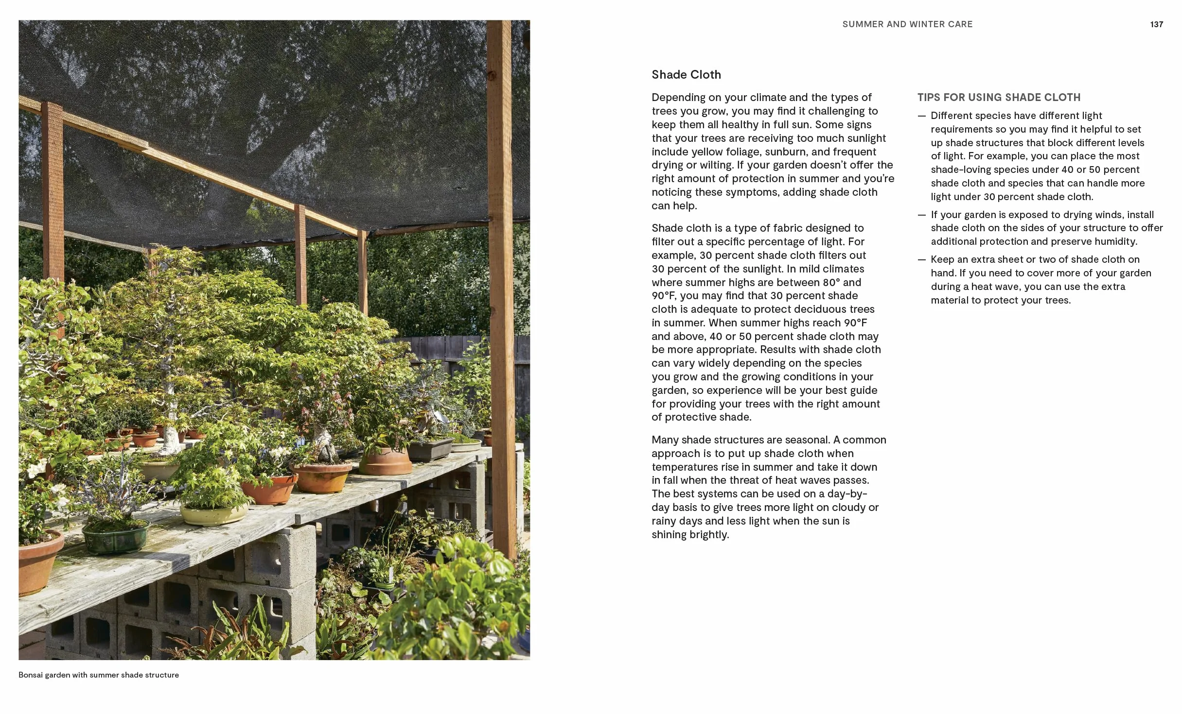 The Essential Bonsai Book: Techniques for Creating Beautiful Trees