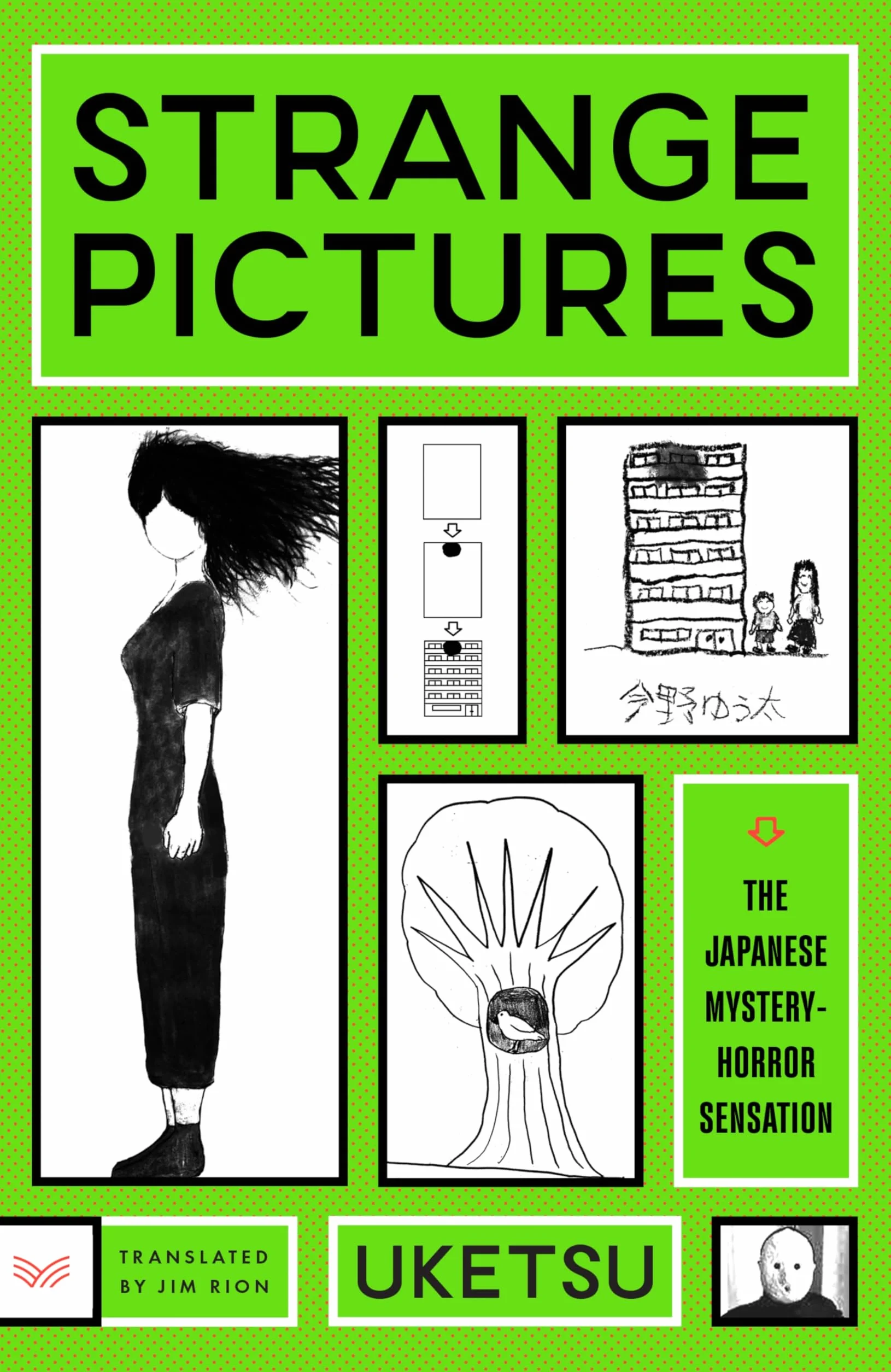 Strange Pictures: A Novel
