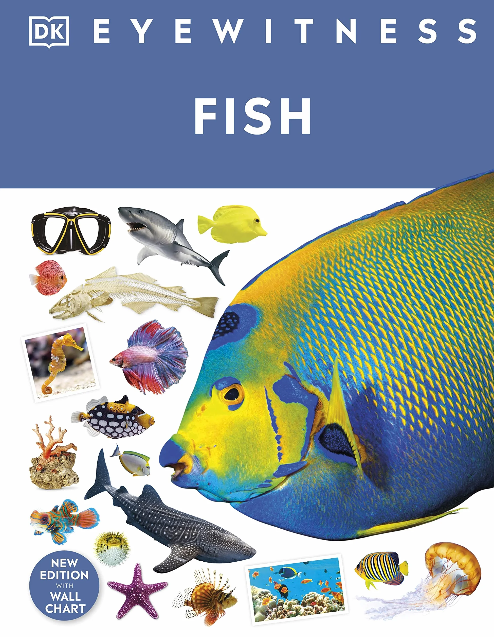 Fish: DK Eyewitness