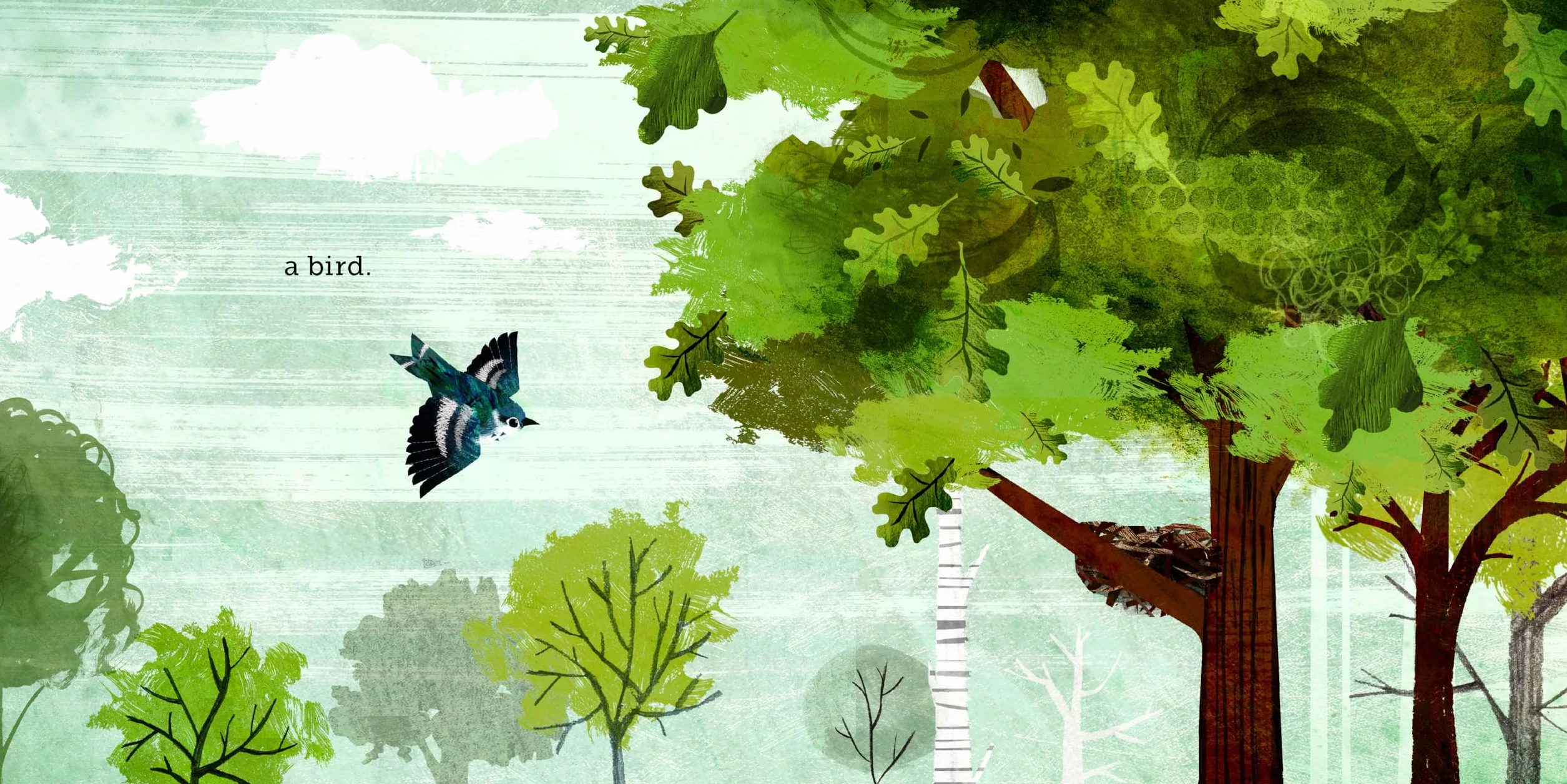 Because of an Acorn: (Nature Autumn Books for Children, Picture Books about Acorn Trees)
