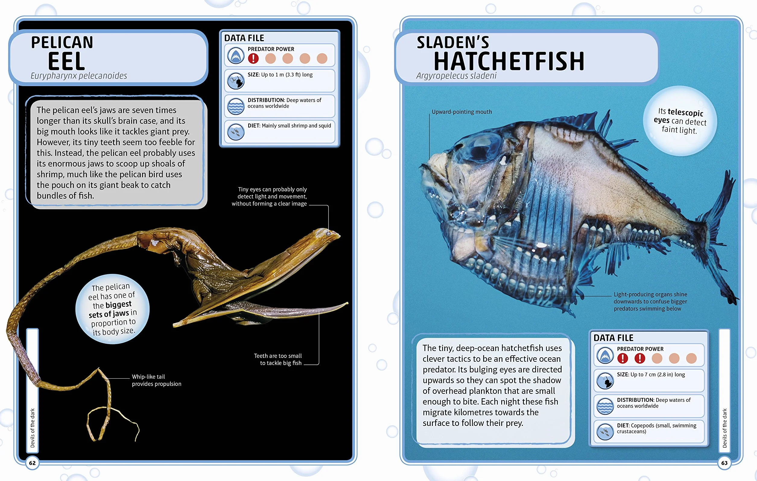 Sharks and Other Deadly Ocean Creatures: Visual Encyclopedia