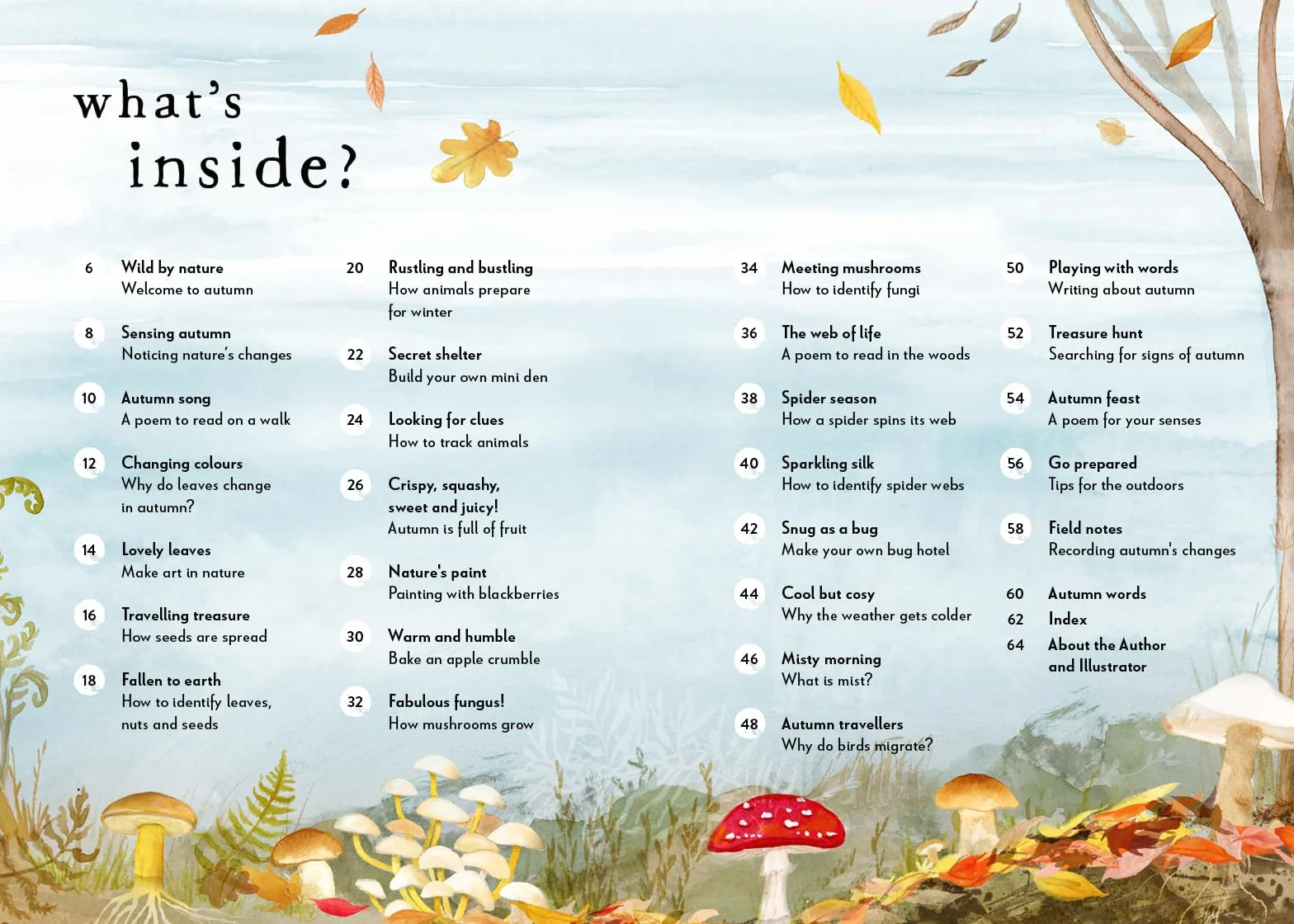 A Field Guide to Autumn: Play and Learn in Nature: 2