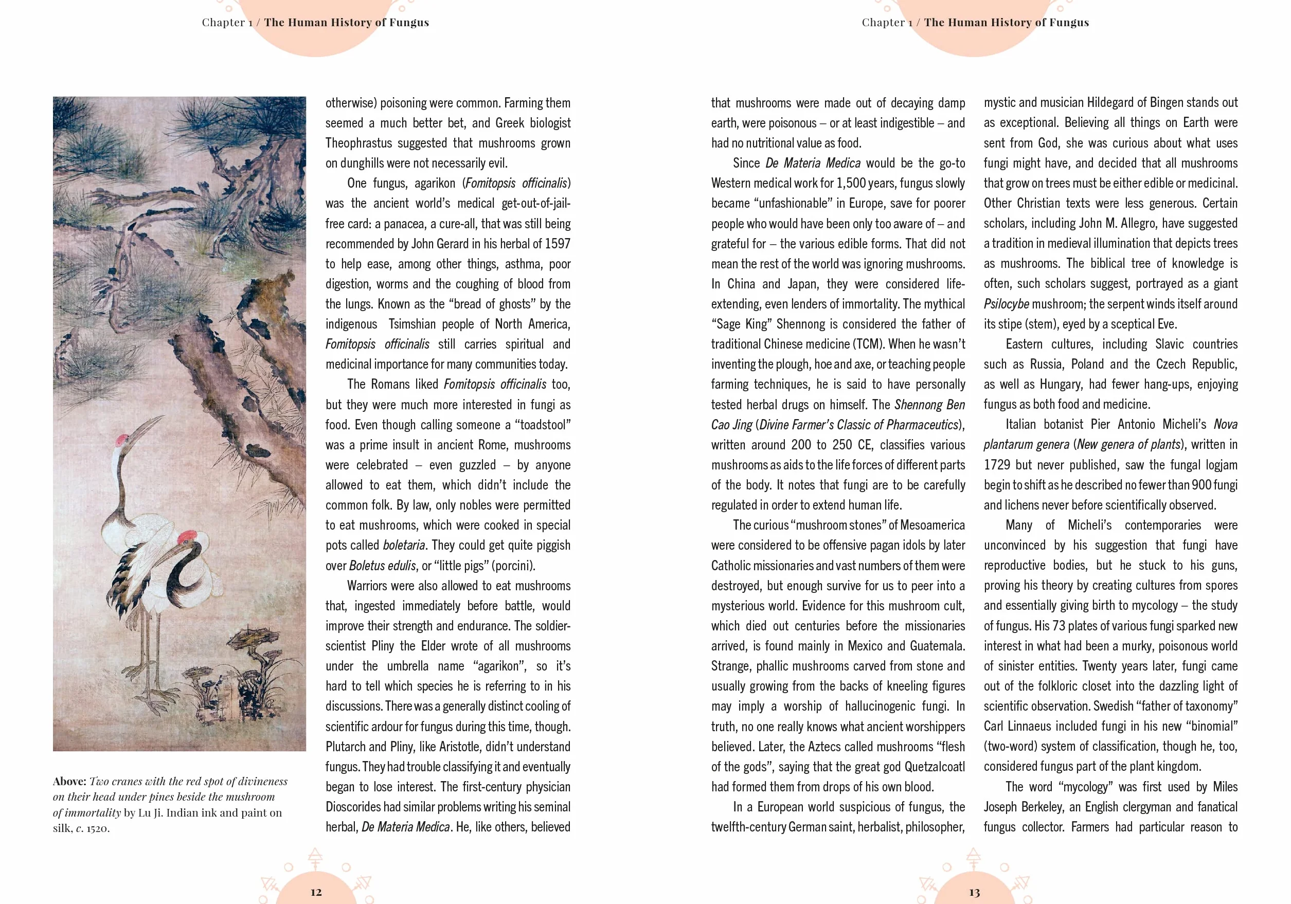 The Magic of Mushrooms: Fungi in Folklore, Superstition and Traditional Medicine