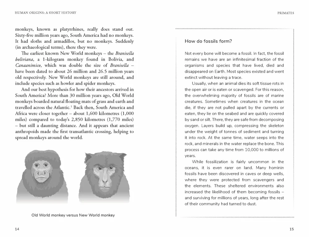 Human Origins: A Short History