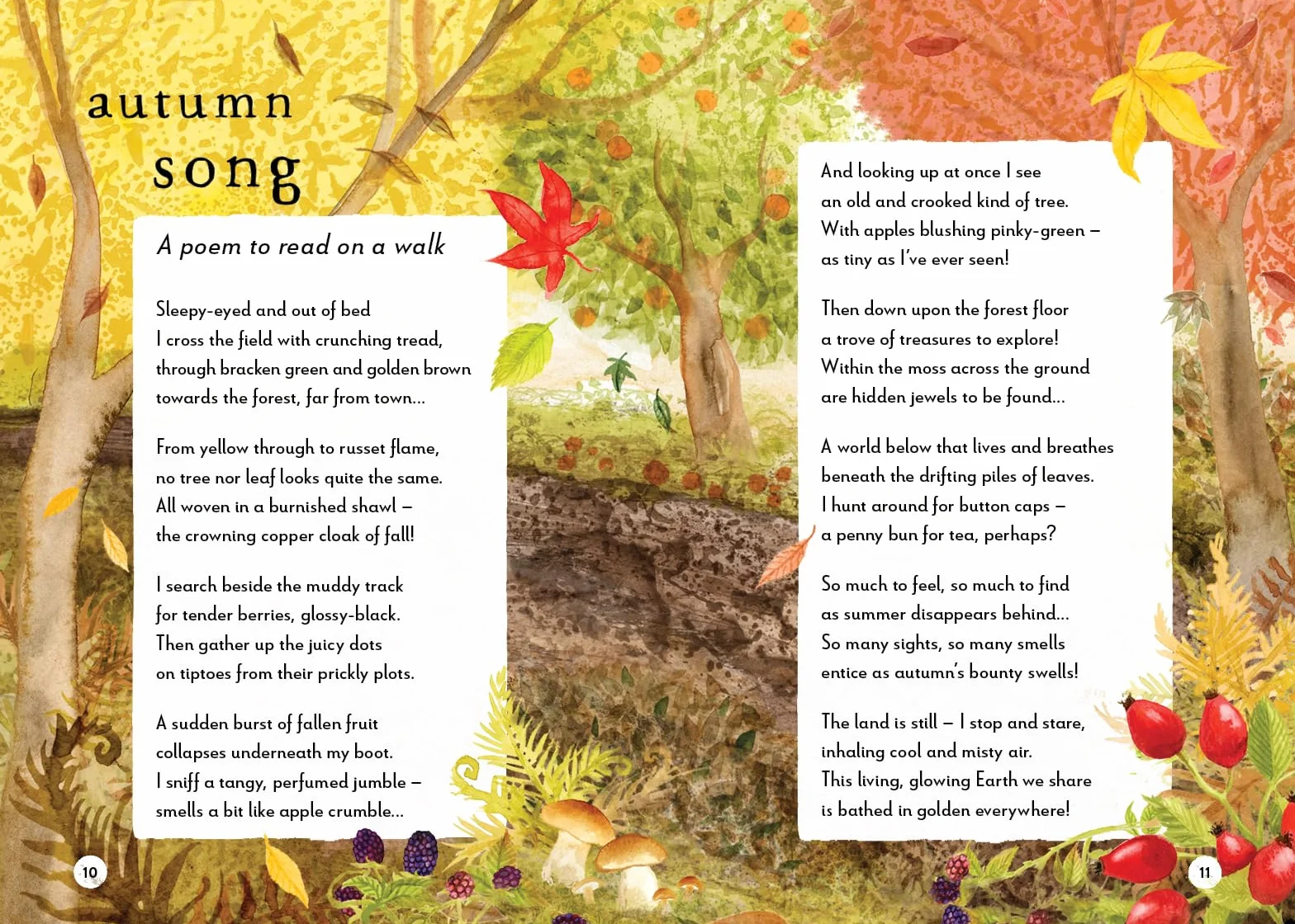 A Field Guide to Autumn: Play and Learn in Nature: 2