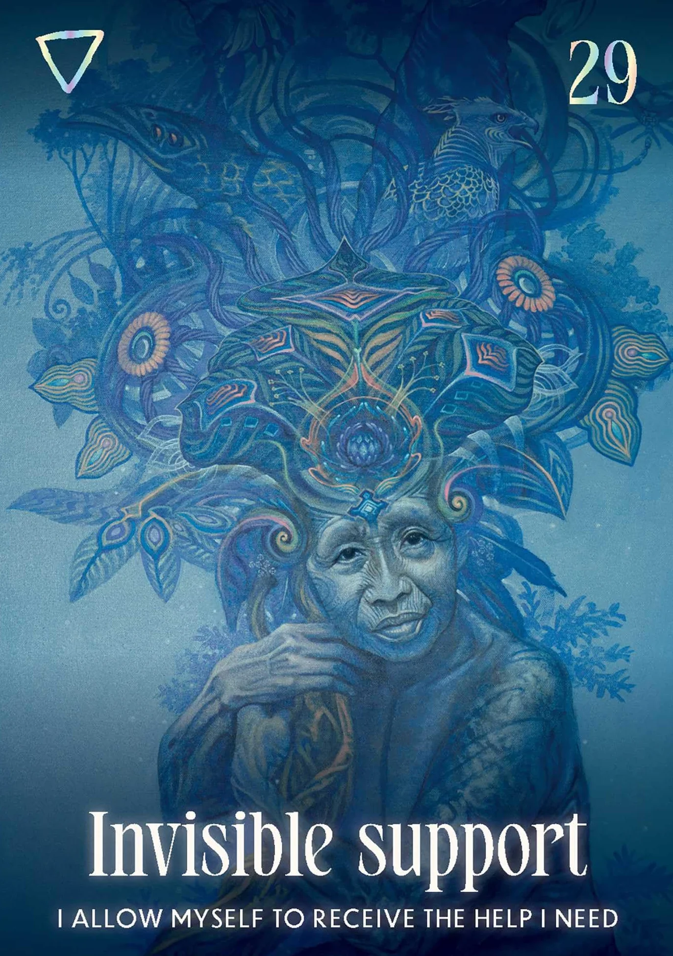 Shamanic Oracle: Connect to the medicine of the earth