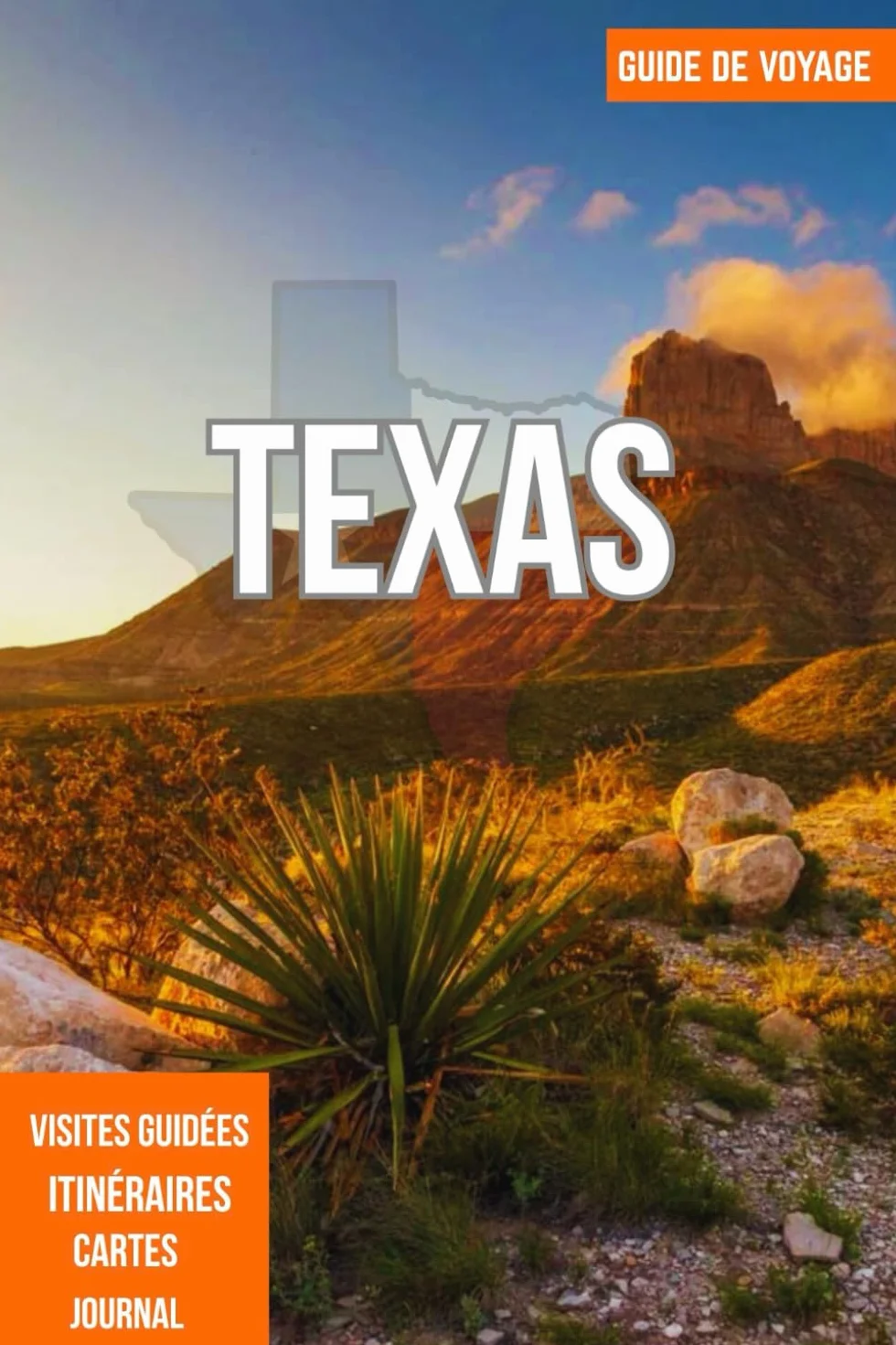 TEXAS GUIDE DE VOYAGE 2025: Houston, Austin, Dallas et San Antonio