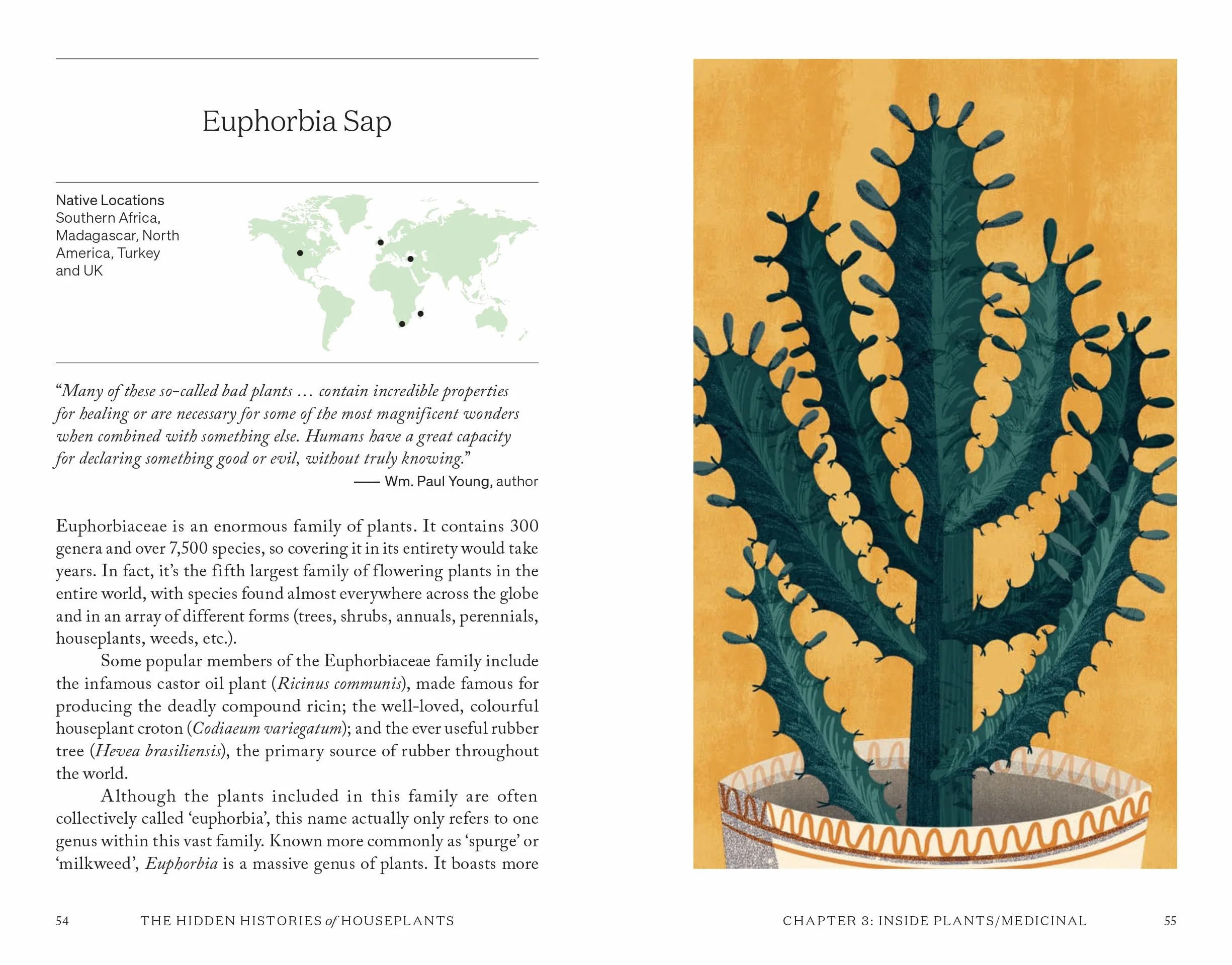 The Hidden Histories of Houseplants: Fascinating Stories of Our Most-Loved Houseplants