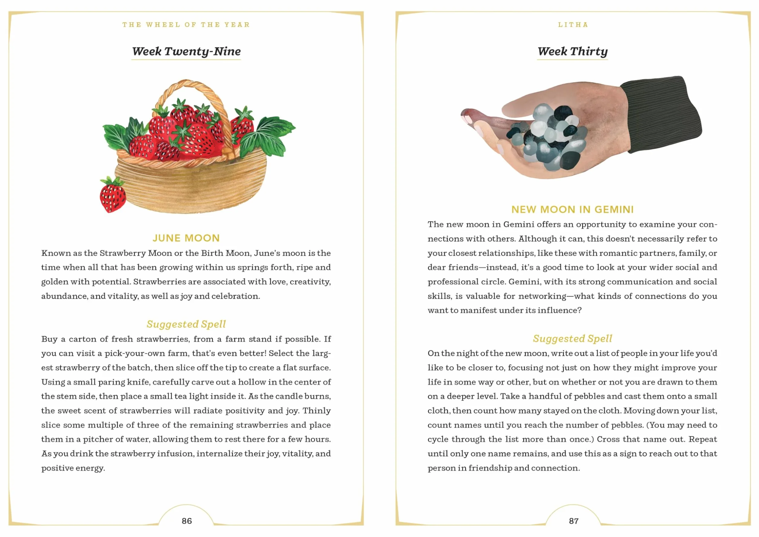 The Wheel of the Year: A Guide to Sabbats, Lunar Cycles, and the Stars Above