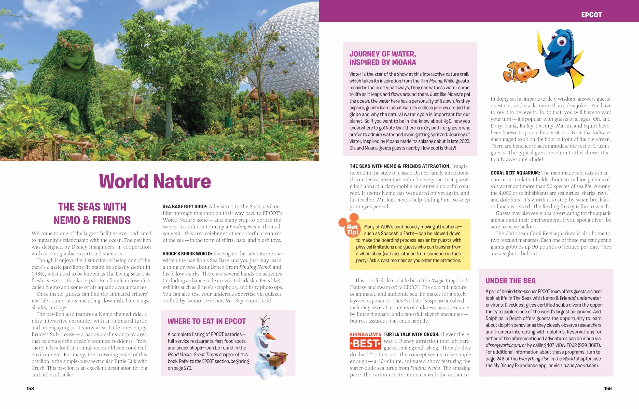 Birnbaum's 2025 Walt Disney World: The Official Vacation Guide