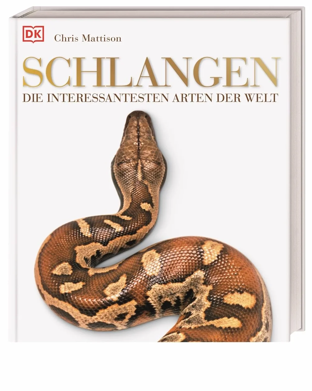 Schlangen: Die interessantesten Arten der Welt