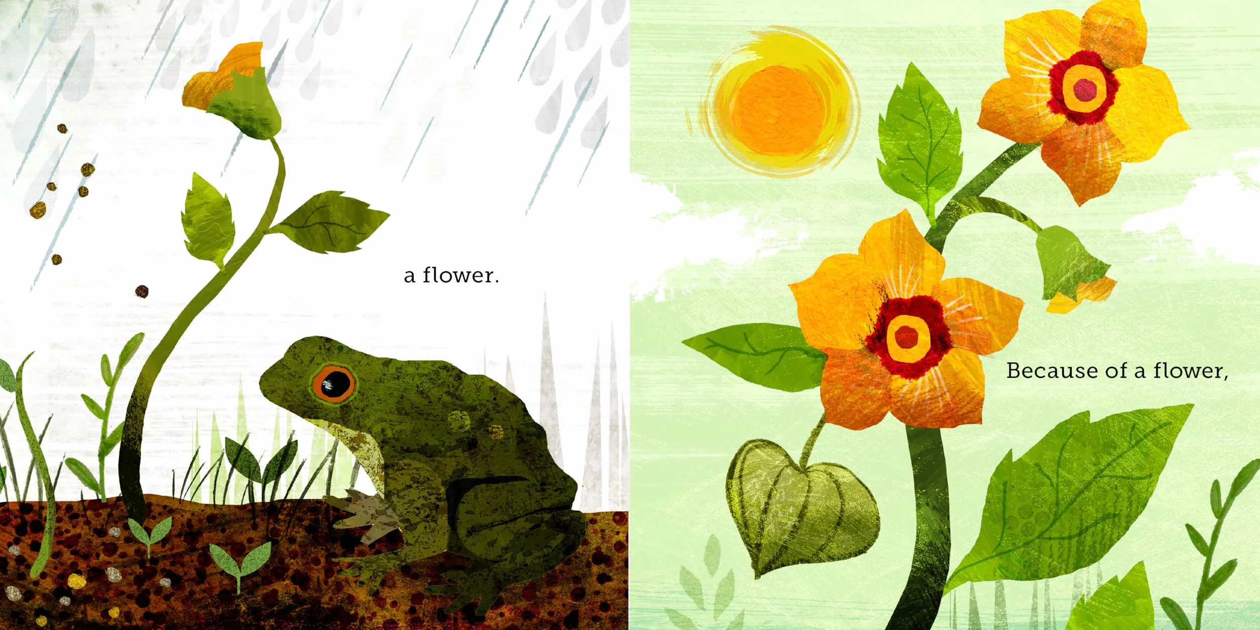 Because of an Acorn: (Nature Autumn Books for Children, Picture Books about Acorn Trees)