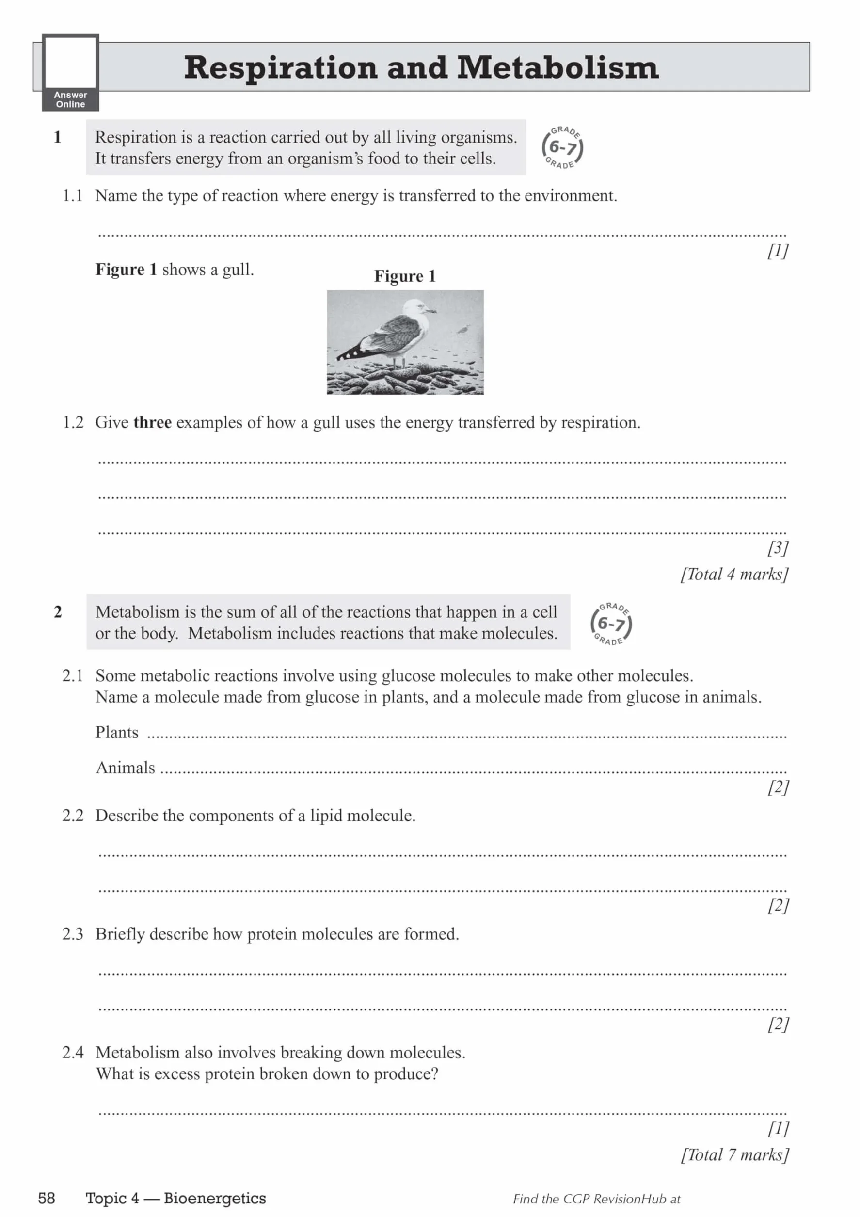 New GCSE Biology AQA Higher Exam Practice Workbook with CGP RevisionHub