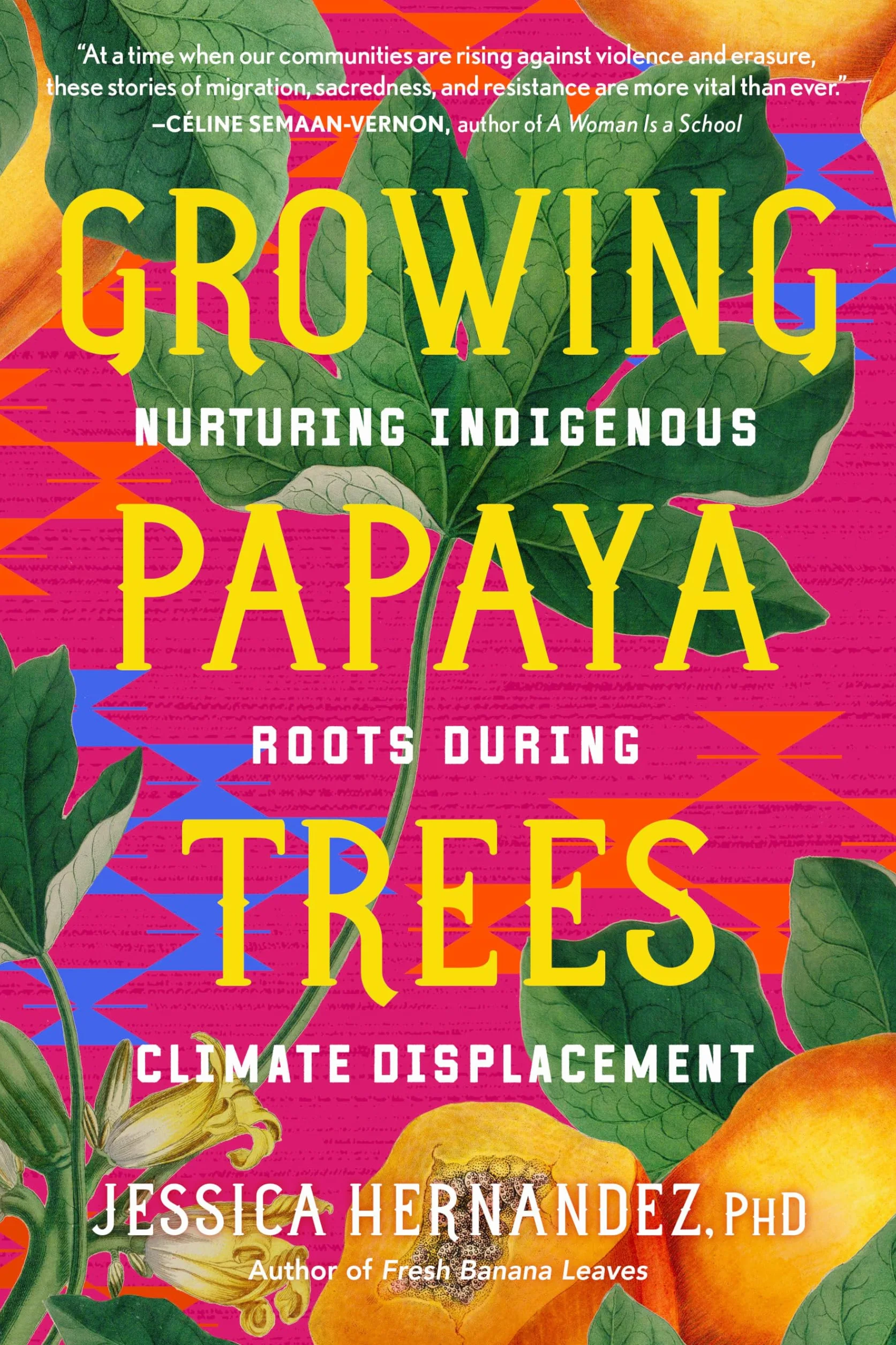 Growing Papaya Trees: Nurturing Indigenous Roots During Climate Displacement