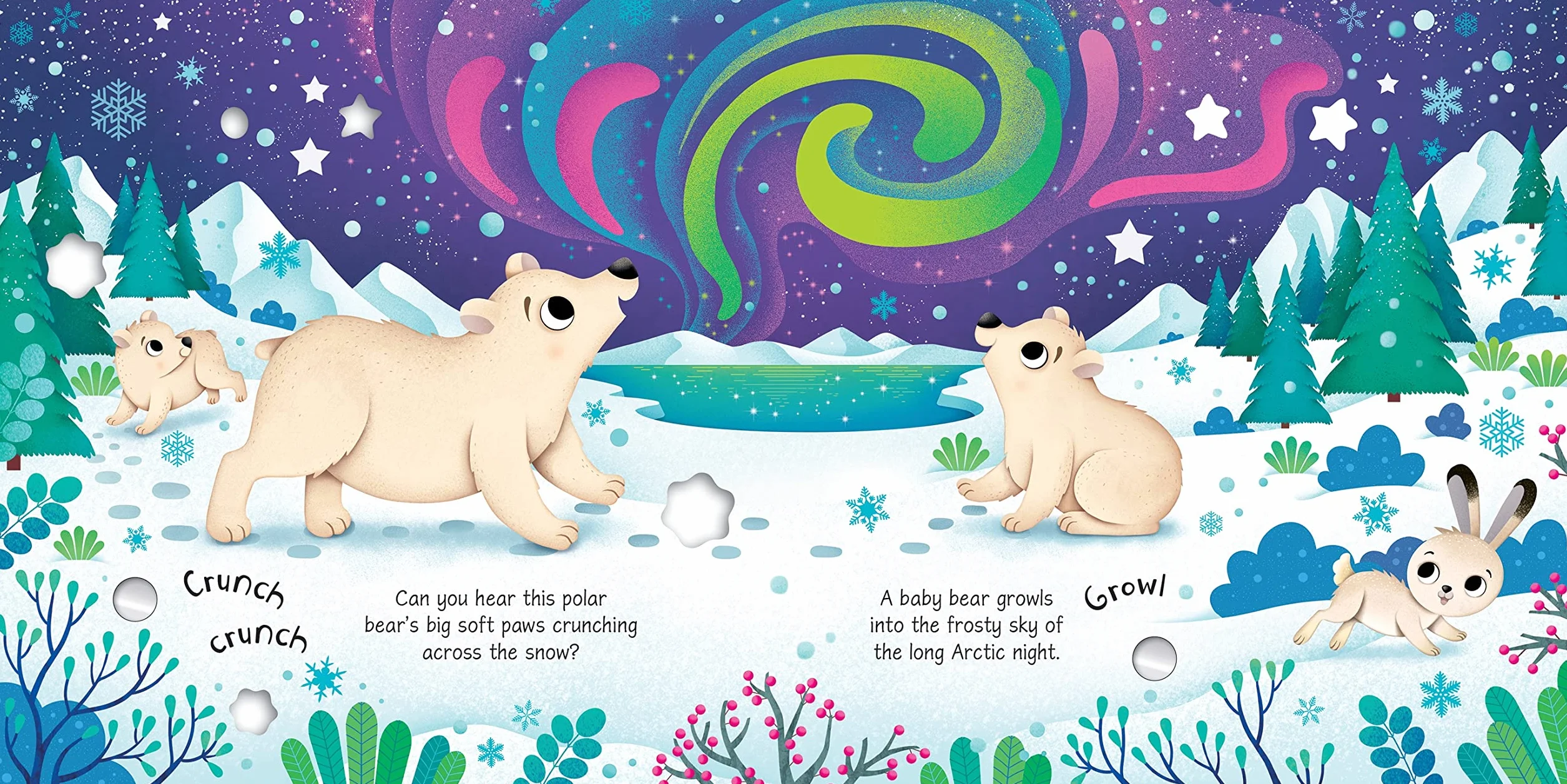 Arctic Animals Sound Book (Sound Books)