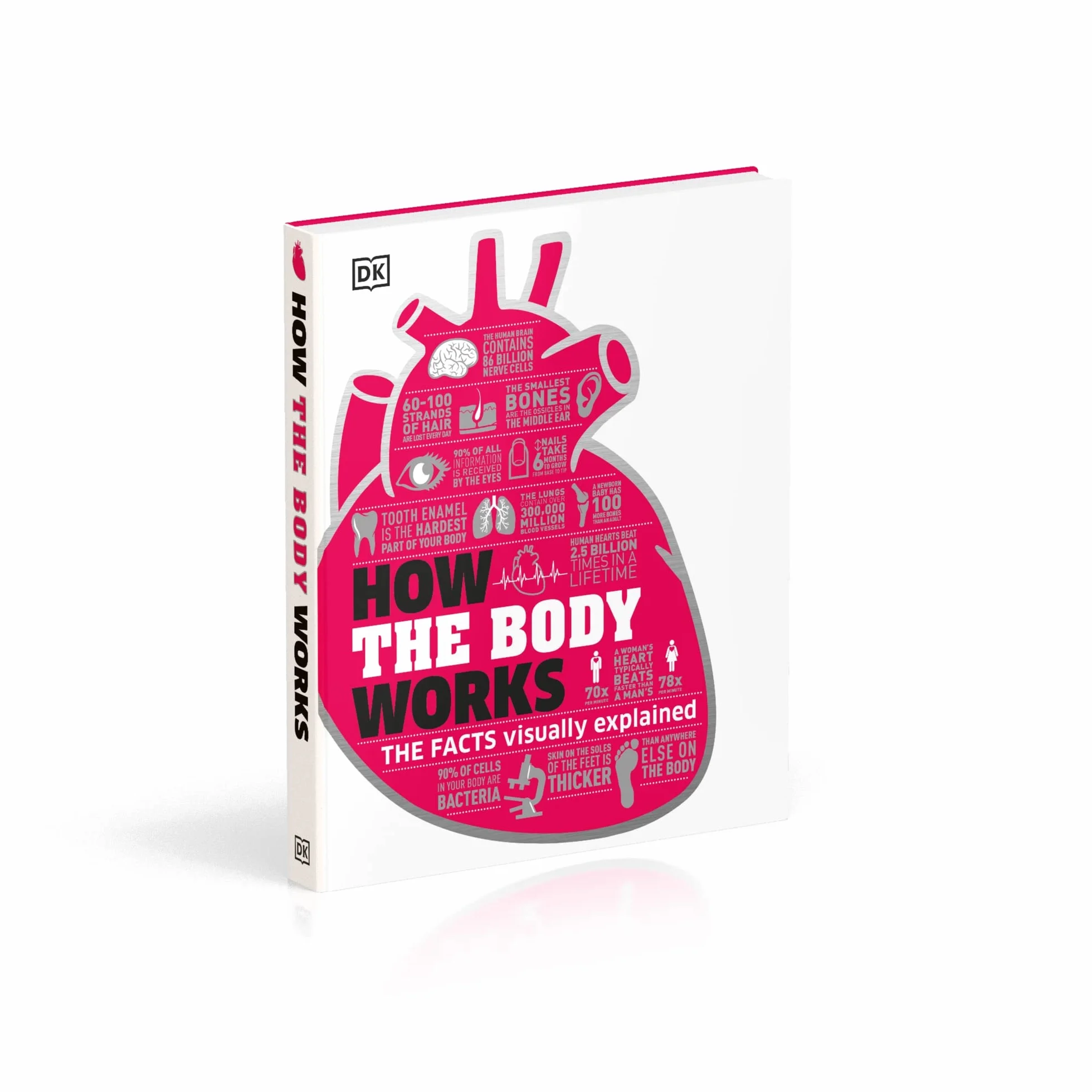 How the Body Works: The Facts Simply Explained