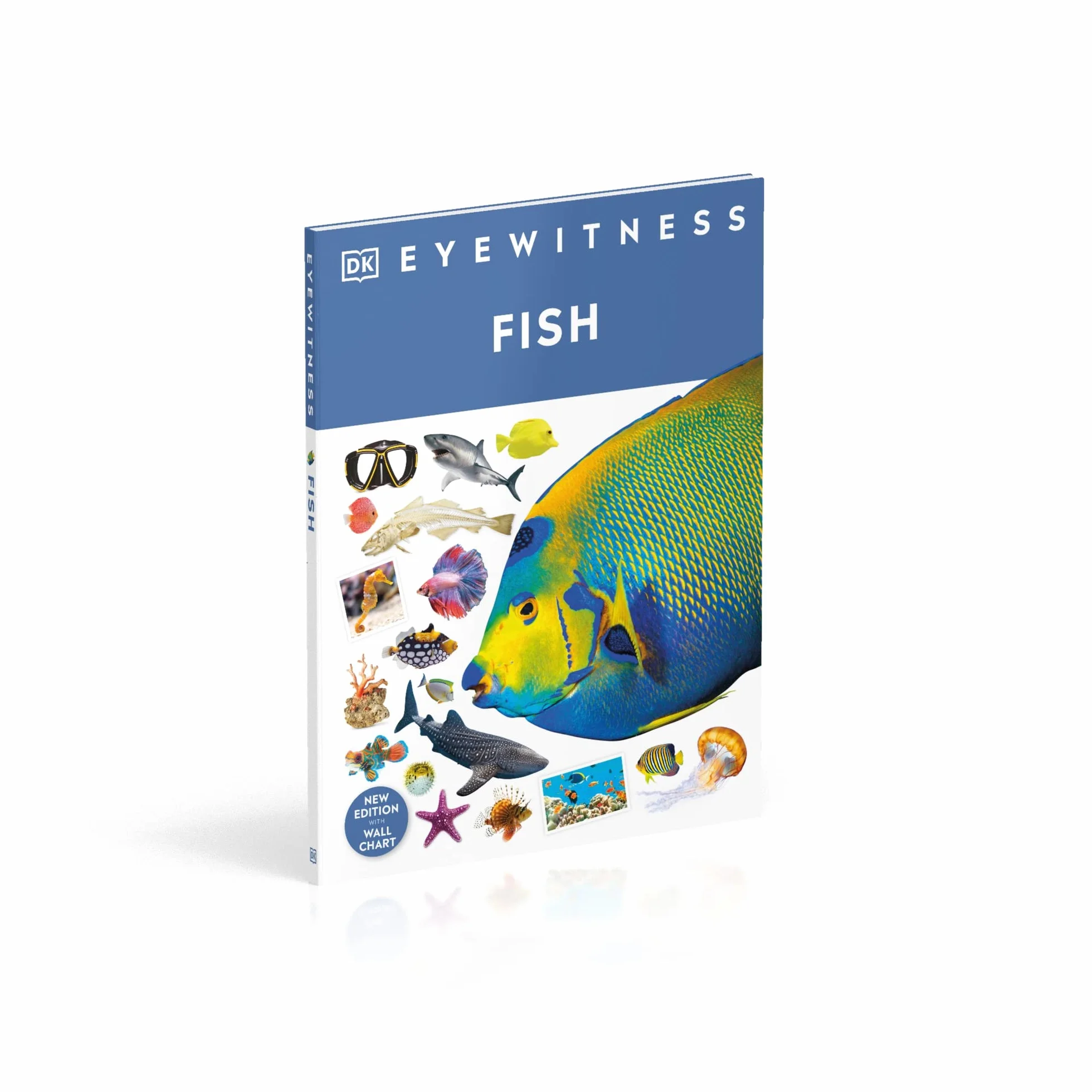 Fish: DK Eyewitness