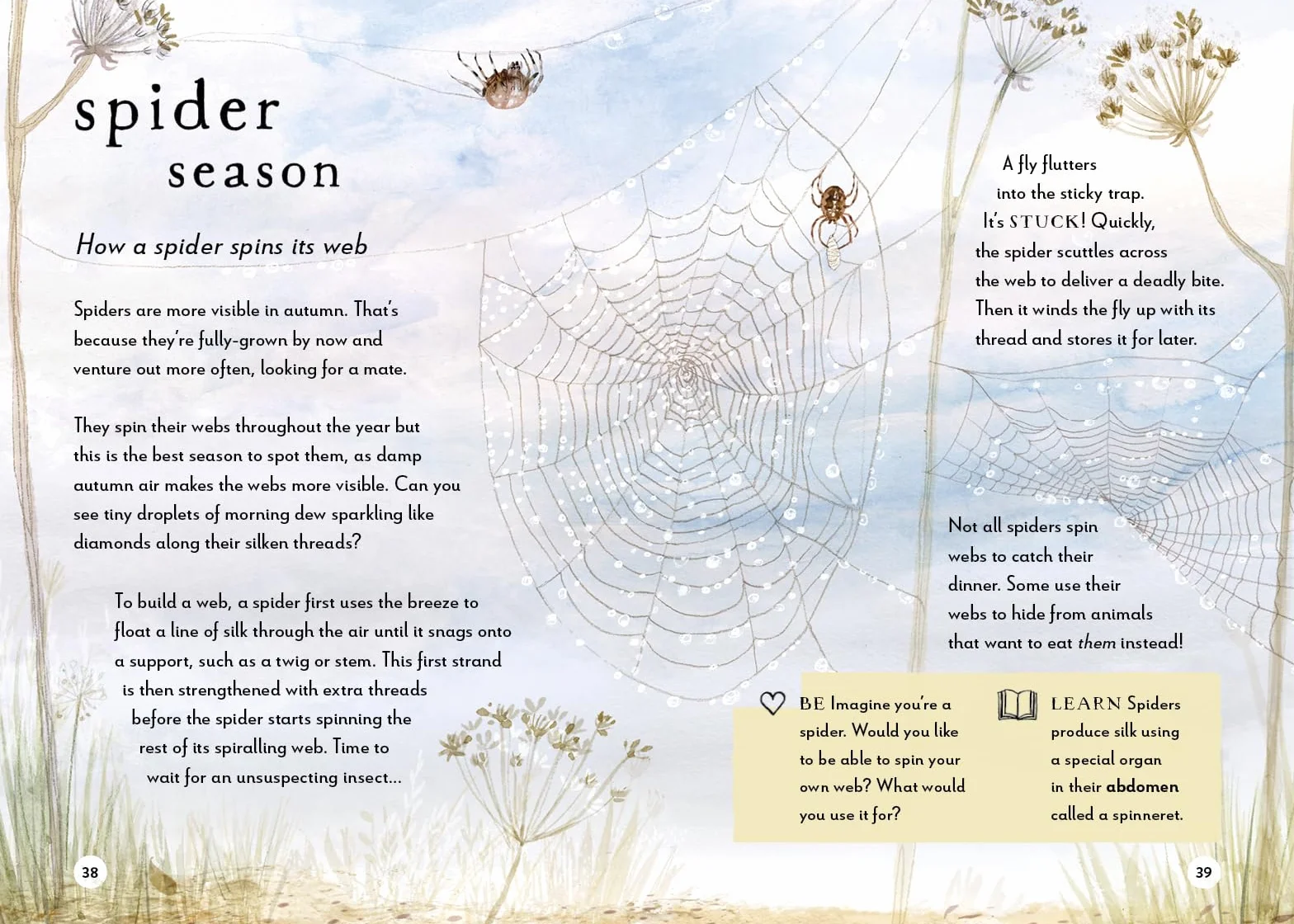 A Field Guide to Autumn: Play and Learn in Nature: 2