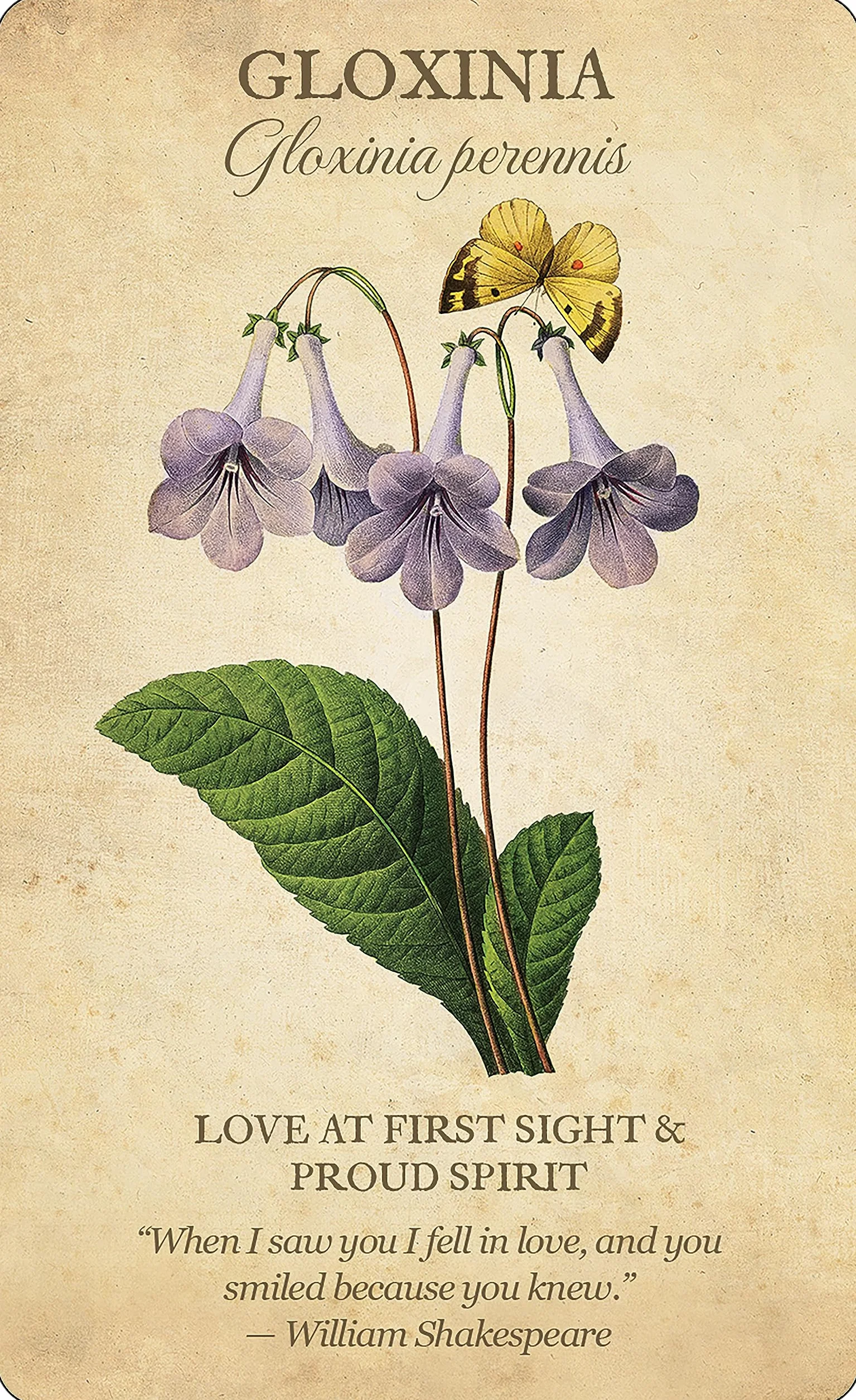 Botanical Inspirations Deck & Book Set: 44 Cards with Classical Botanical Art by Pierre-Joseph Redouté, Deluxe Gift Set Includes 100-Page Guidebook, Inspirational Messages