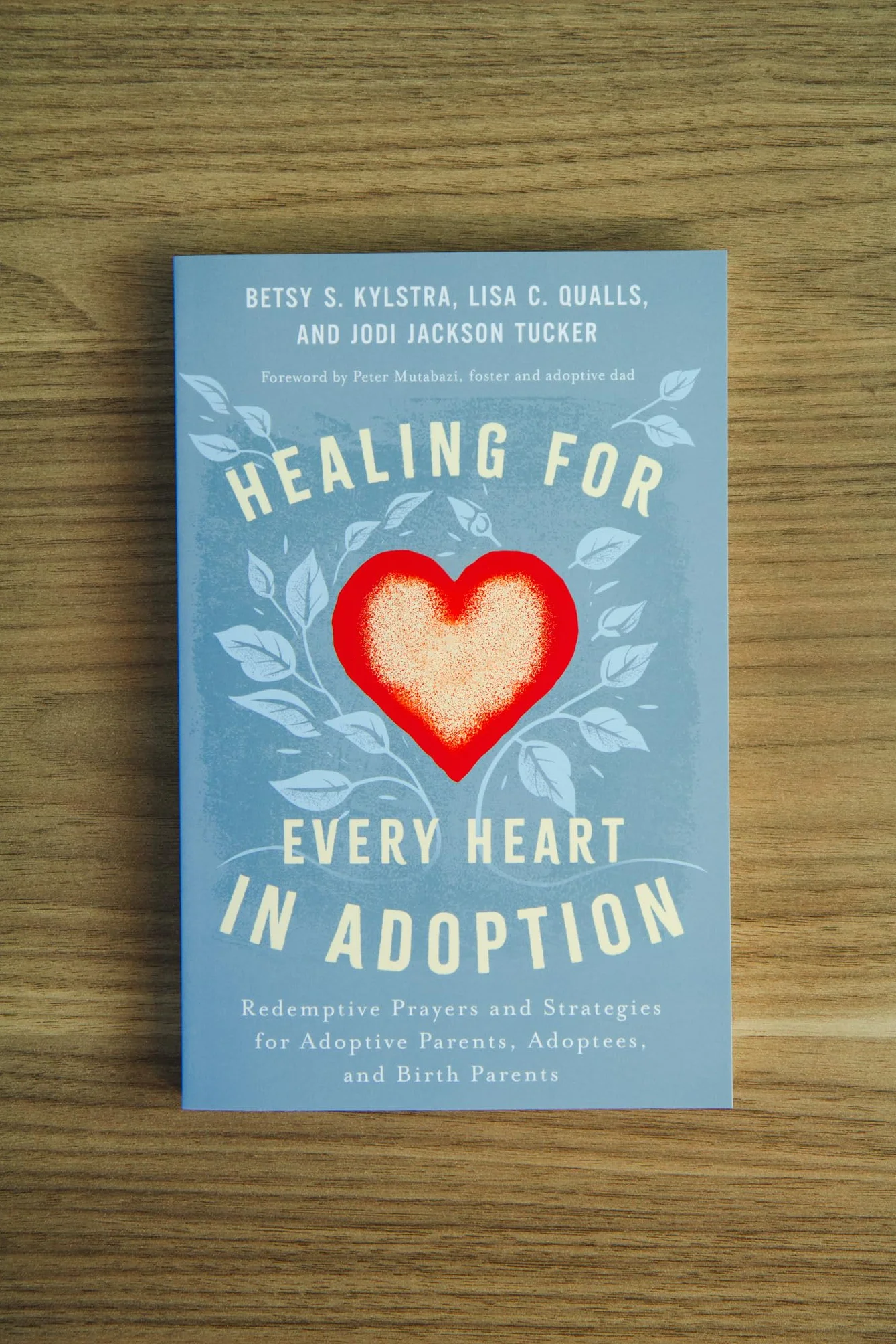 Healing for Every Heart in Adoption: Redemptive Prayers and Strategies for Adoptive Parents, Adoptees, and Birth Parents