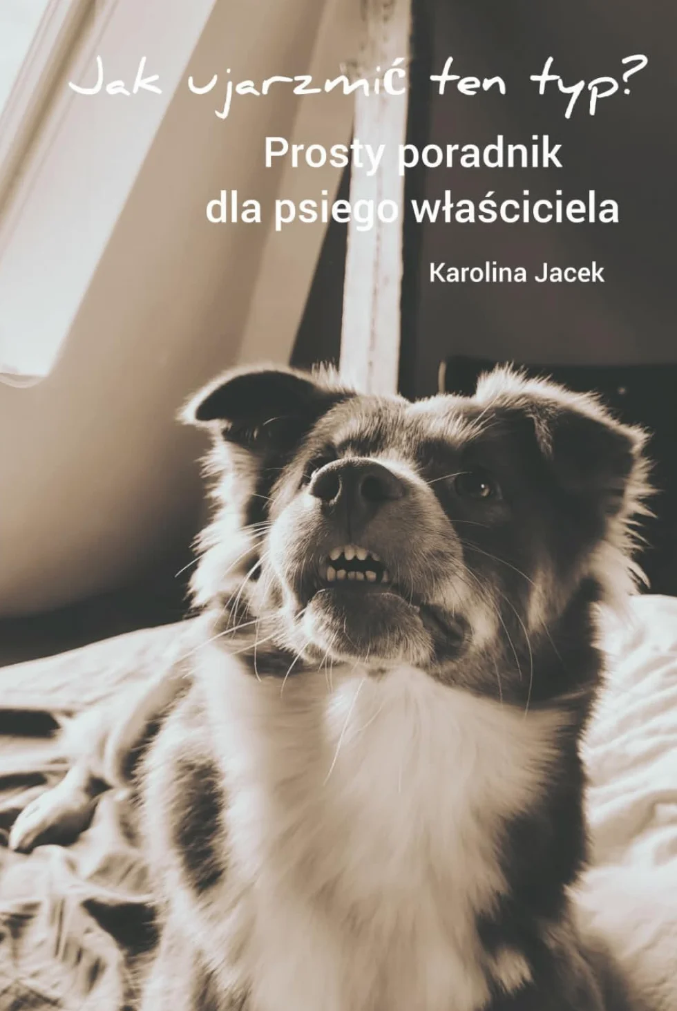 Jak ujarzmić ten typ? Prosty poradnik dla psiego właściciela