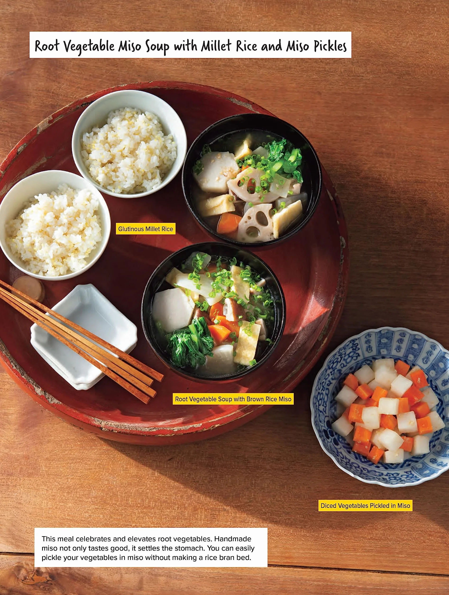 A Beginner's Guide to Japanese Fermentation: Healthy Home-Style Recipes Using Shio Koji, Amazake, Brown Rice Miso, Nukazuke Pickles & Much More!
