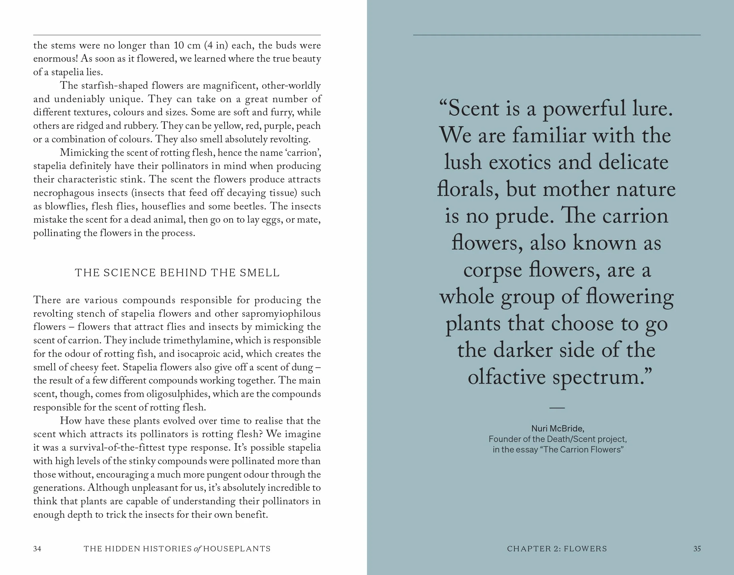 The Hidden Histories of Houseplants: Fascinating Stories of Our Most-Loved Houseplants