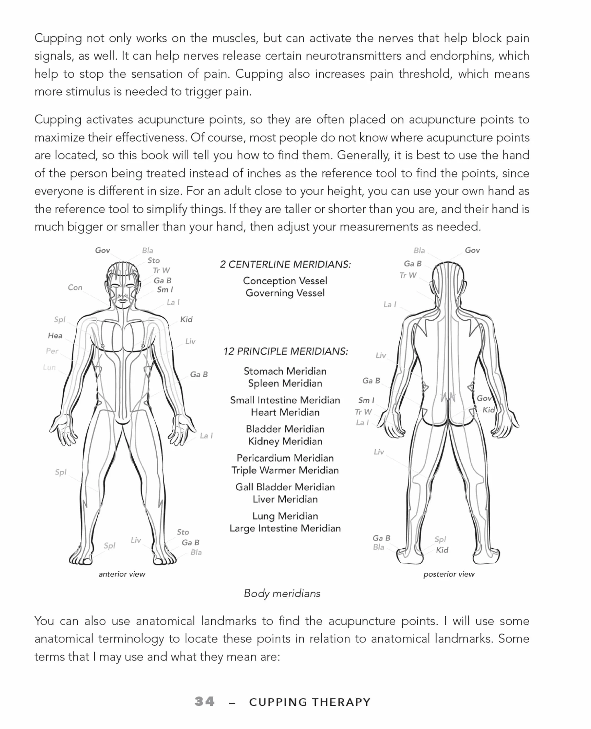 Cupping Therapy for Muscles and Joints: An Easy-to-Understand Guide for Relieving Pain, Reducing Inflammation and Healing Injury