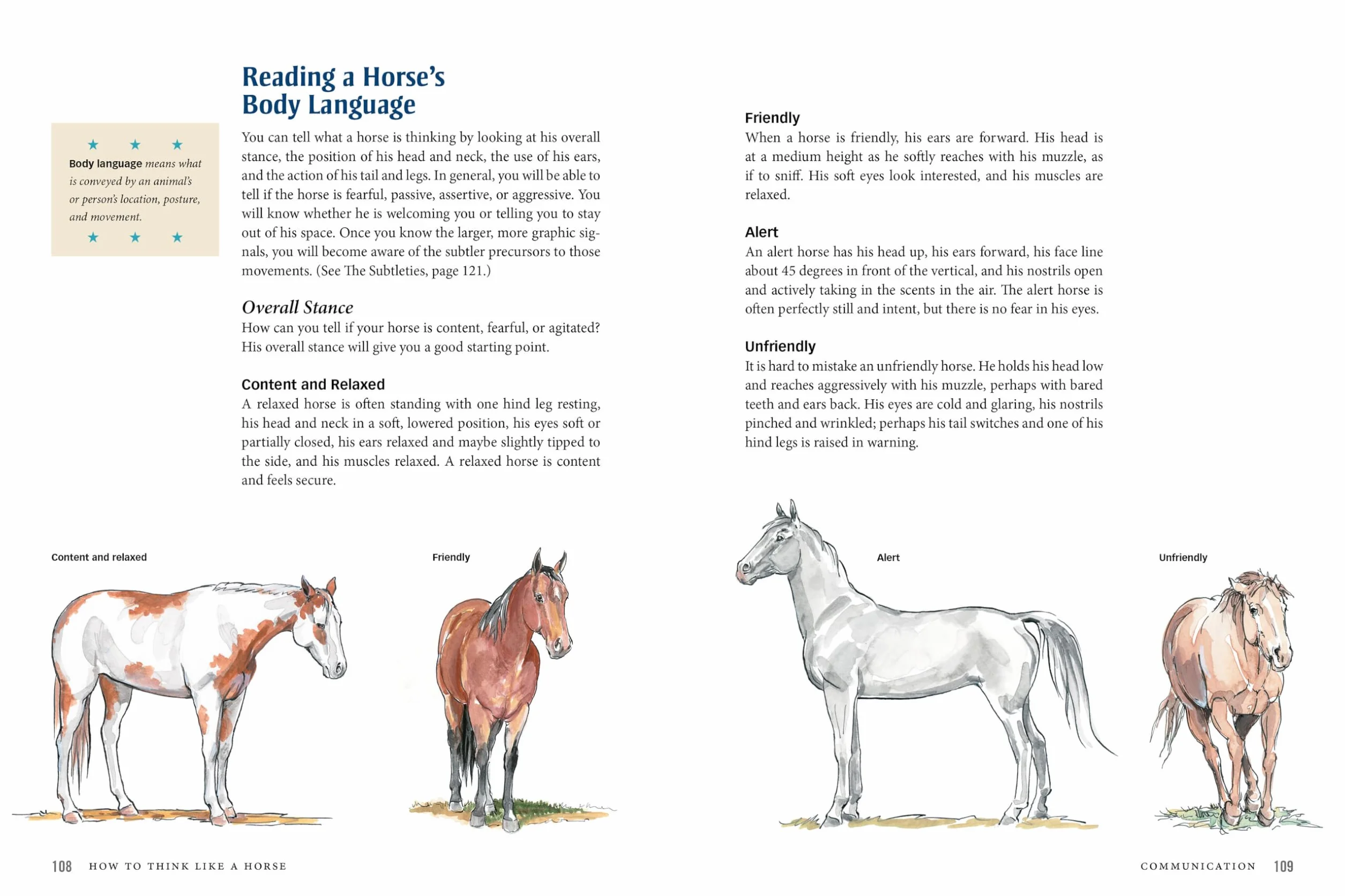 How to Think Like a Horse: The Essential Handbook for Understanding Why Horses Do What They Do