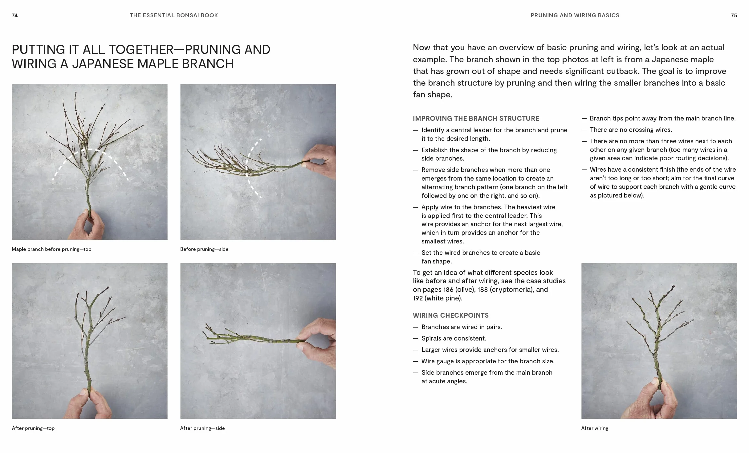 The Essential Bonsai Book: Techniques for Creating Beautiful Trees
