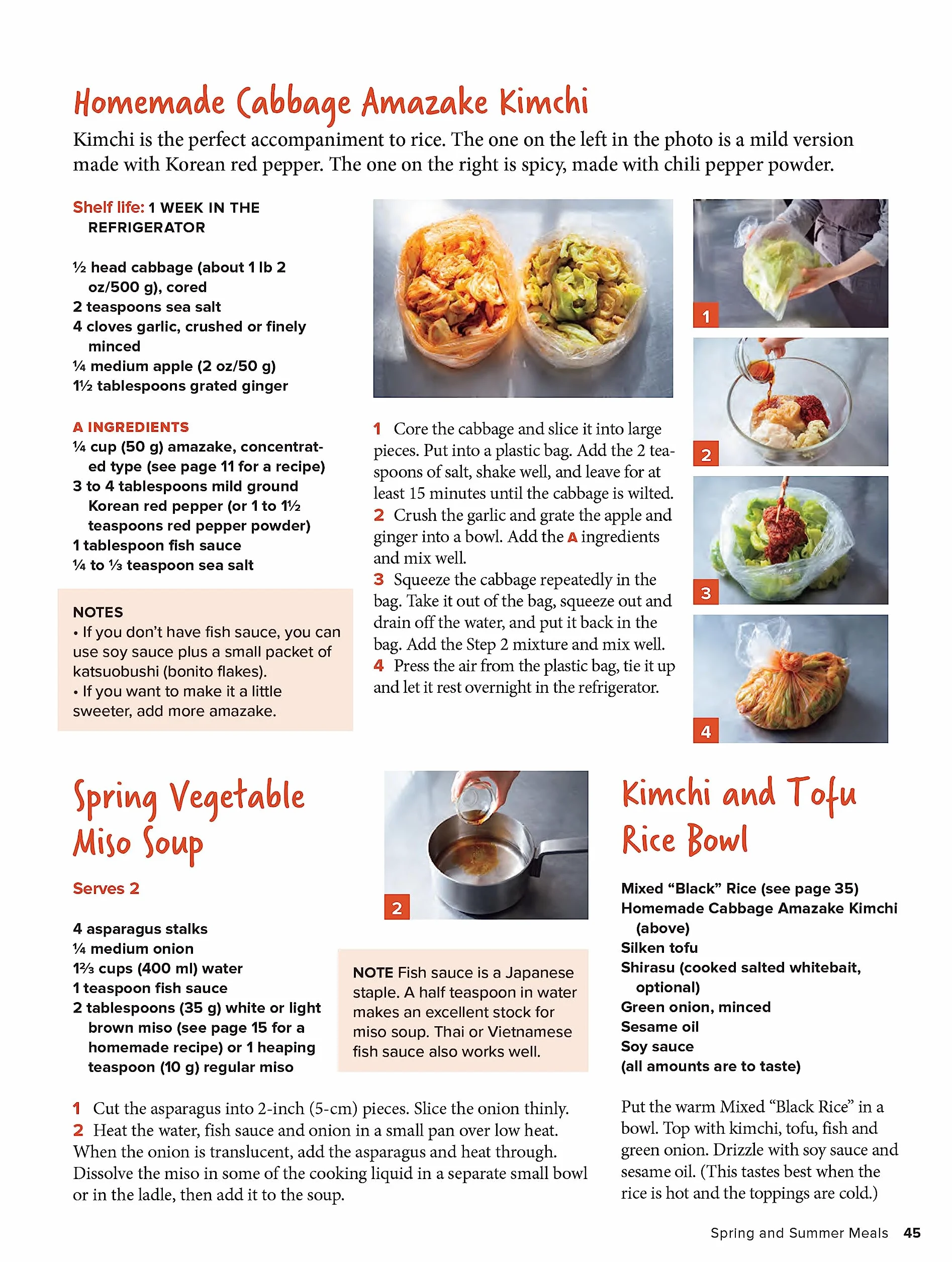 A Beginner's Guide to Japanese Fermentation: Healthy Home-Style Recipes Using Shio Koji, Amazake, Brown Rice Miso, Nukazuke Pickles & Much More!