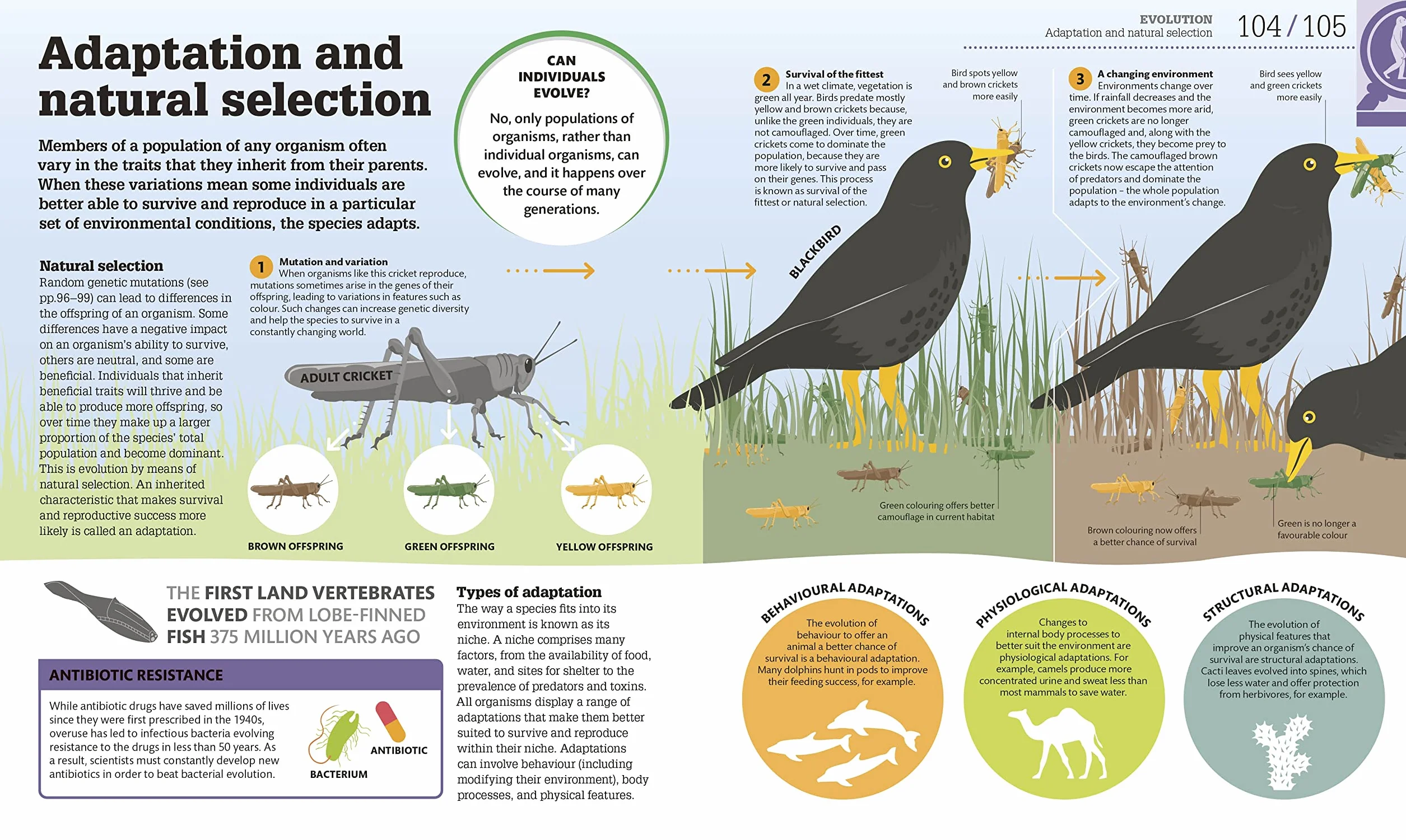 How Biology Works: The Facts Visually Explained