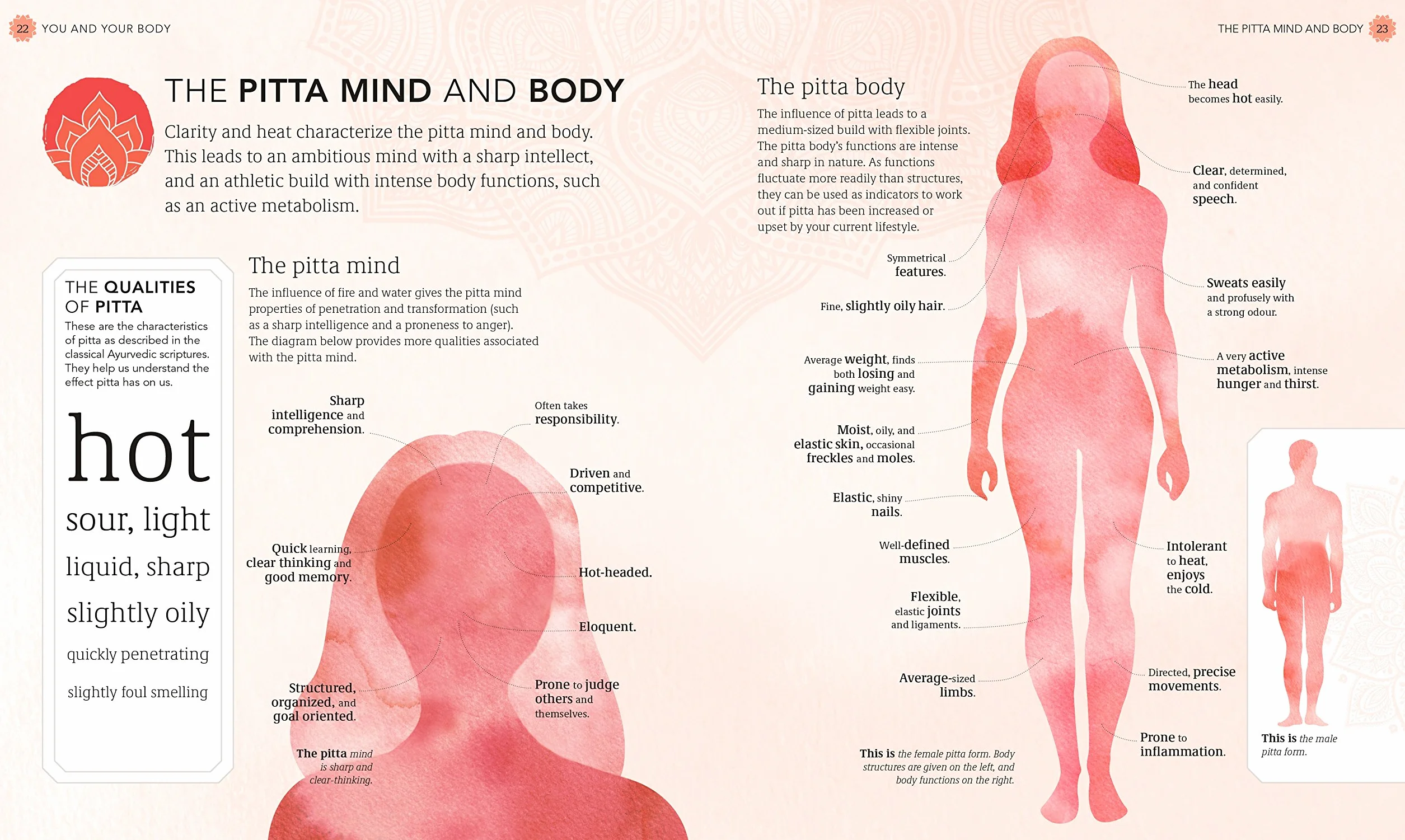 Practical Ayurveda: Find Out Who You Are and What You Need to Bring Balance to Your Life